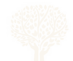 The Open Canopy logo